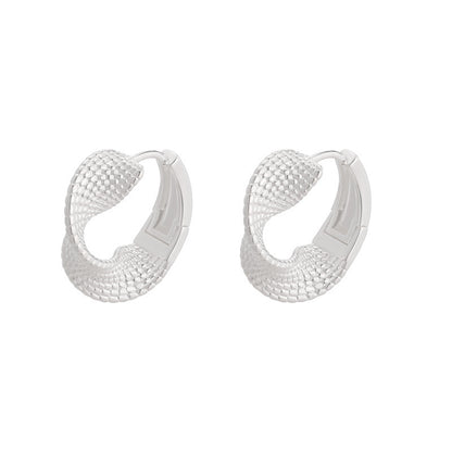 Geometric Circle Twisted Texture Earrings For Women Simple